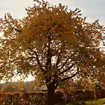 Grange Enchantee *