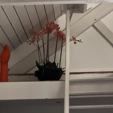 Grange Enchantee Apartment Profondeville